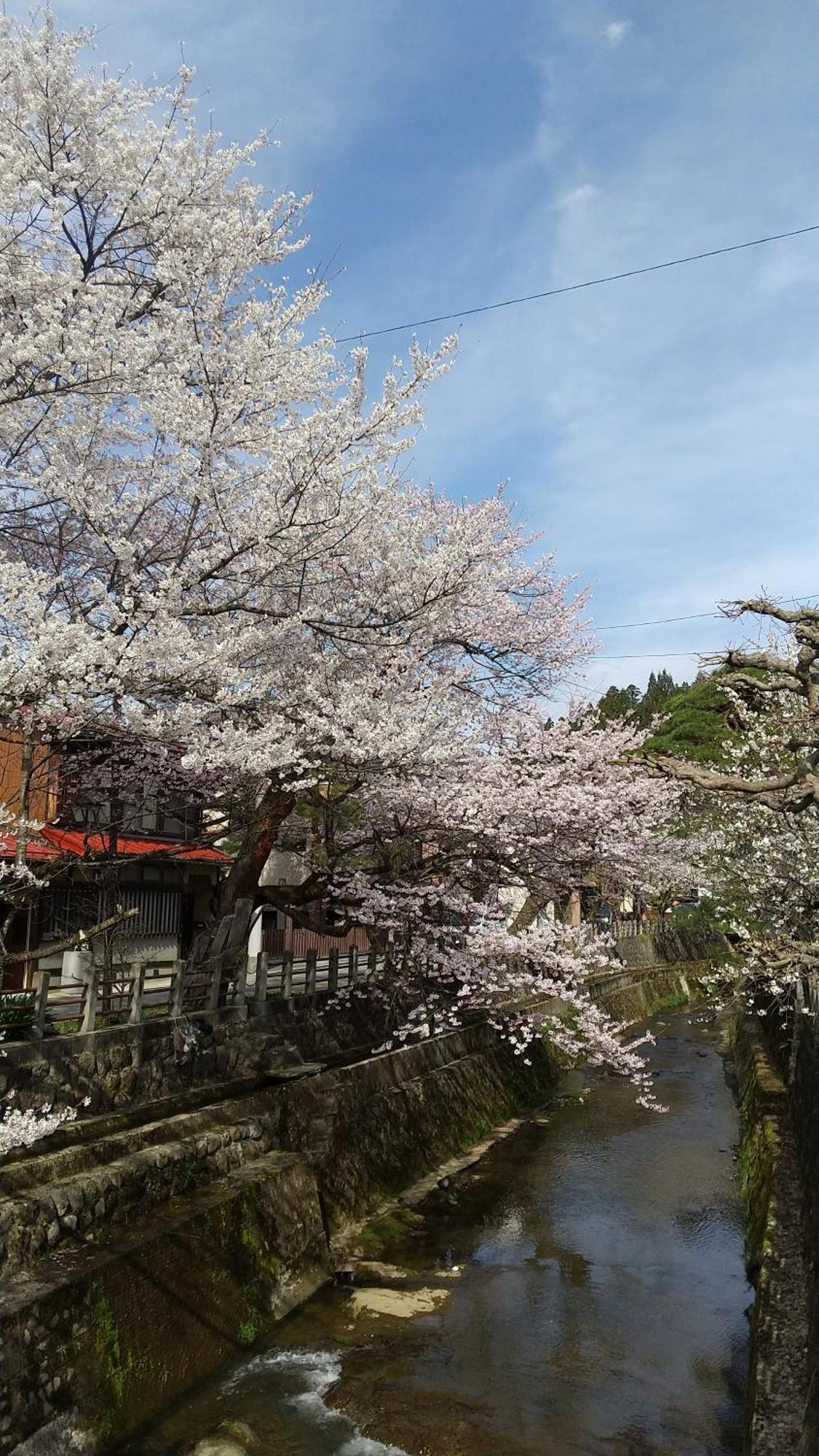 Daihachi Otel Takayama  Dış mekan fotoğraf